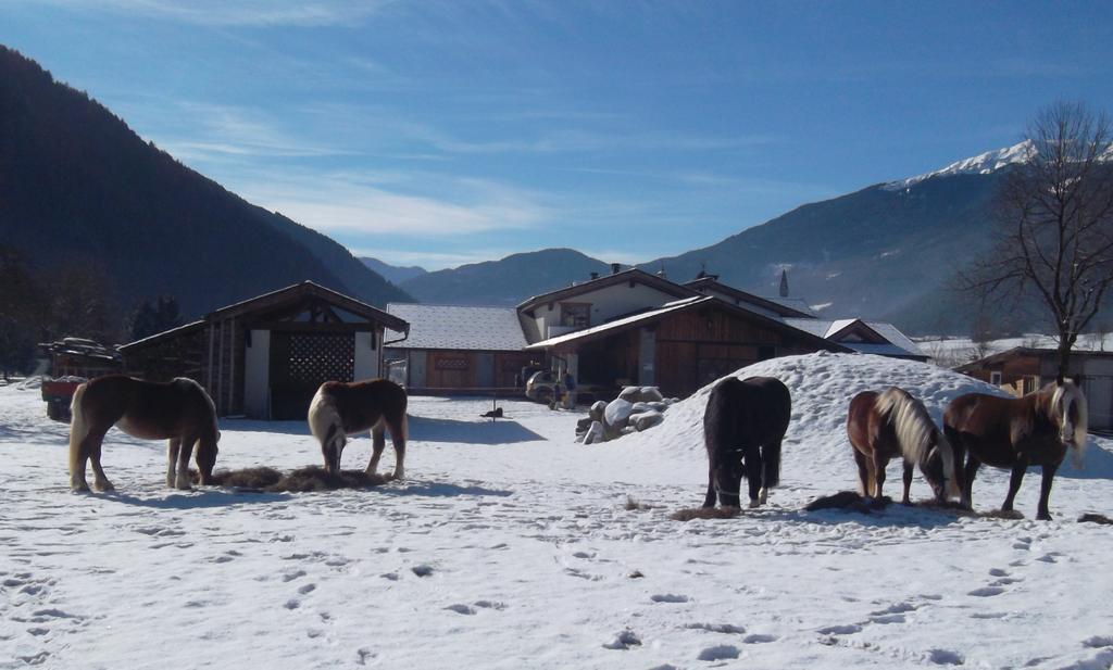 Agriturismo Maso Grisun Borzago 外观 照片