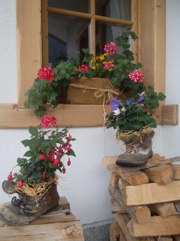 Agriturismo Maso Grisun Borzago 外观 照片