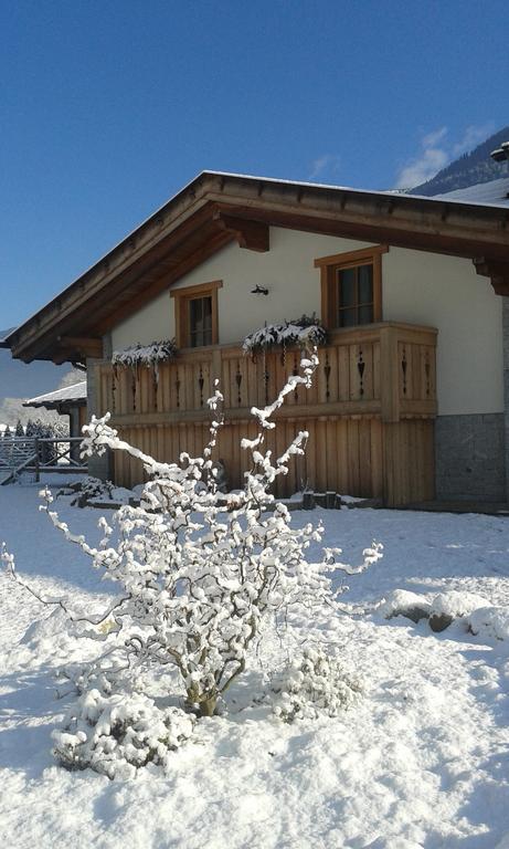 Agriturismo Maso Grisun Borzago 外观 照片