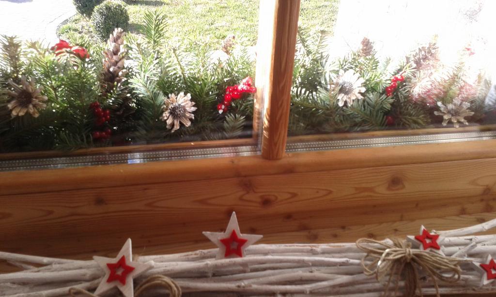 Agriturismo Maso Grisun Borzago 外观 照片