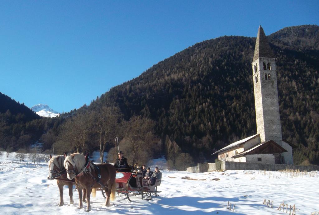 Agriturismo Maso Grisun Borzago 外观 照片