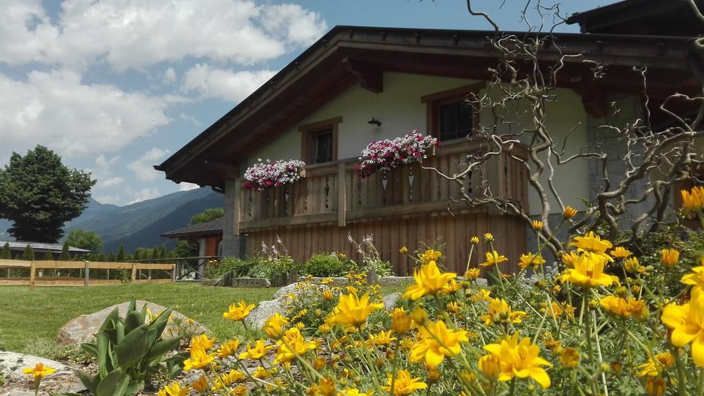 Agriturismo Maso Grisun Borzago 外观 照片