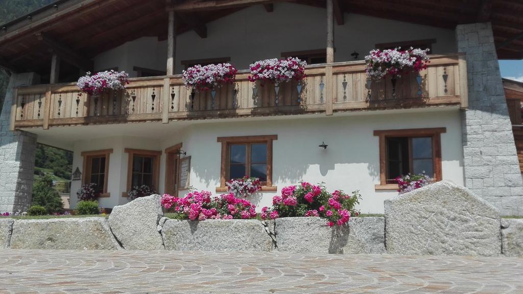 Agriturismo Maso Grisun Borzago 外观 照片