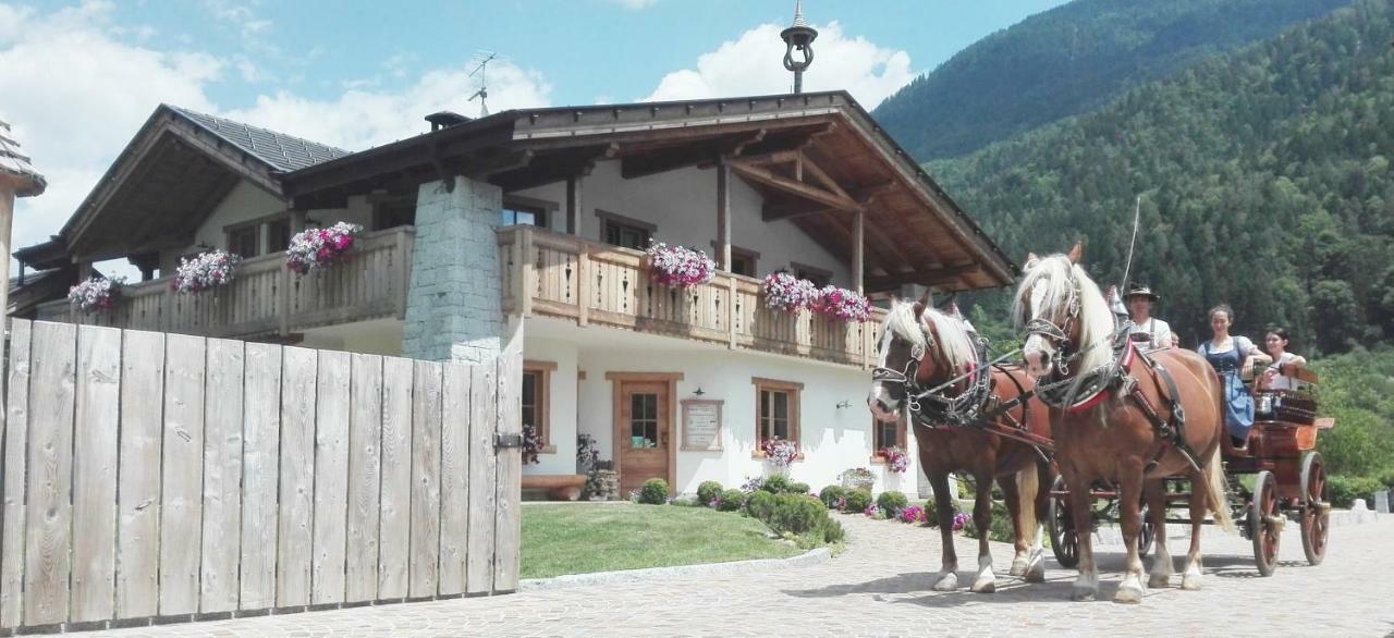 Agriturismo Maso Grisun Borzago 外观 照片
